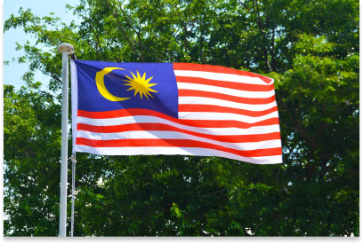 Bearish demand dominates Malaysian rubber outlook