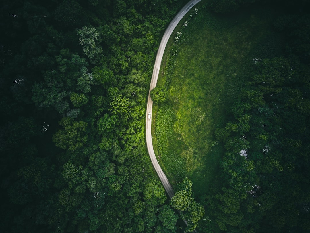 Vietnam rubber production revives in May, but 2025 is challenging