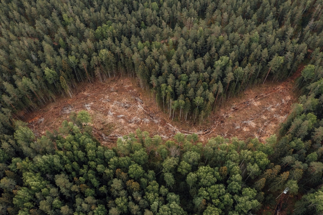 Kerala farmers firm on higher floor prices as rubber market prices keep steady