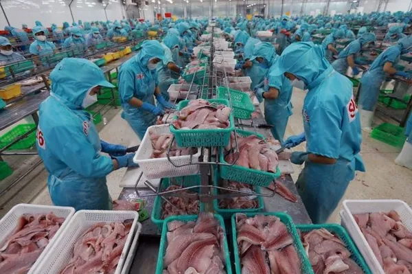 Agro-forestry-fishery exports poised for record revenue of $70b this year