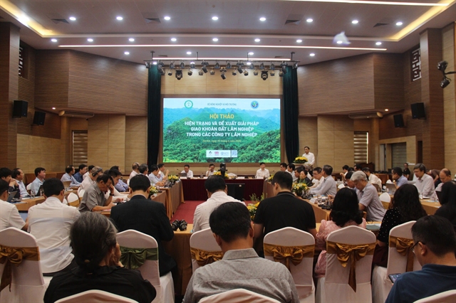 Solutions for forestry land contracting proposed to maximise potentials