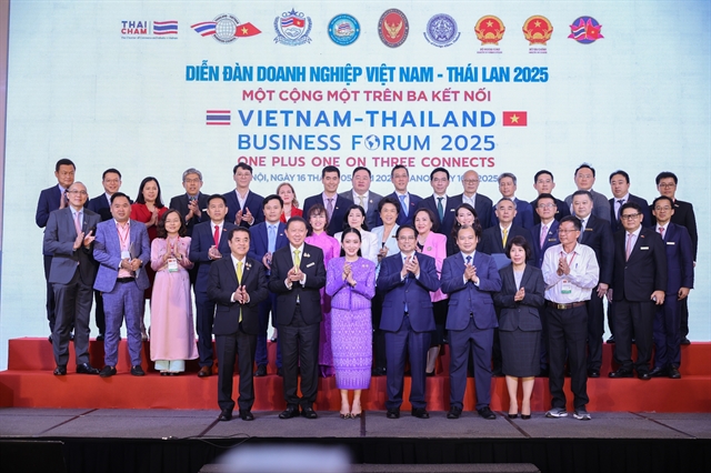 Vietnamese, Thai PMs co-chair business forum in Hà Nội