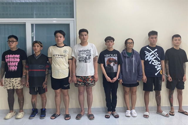 HCM City police bust laughing gas ring, eight detailed