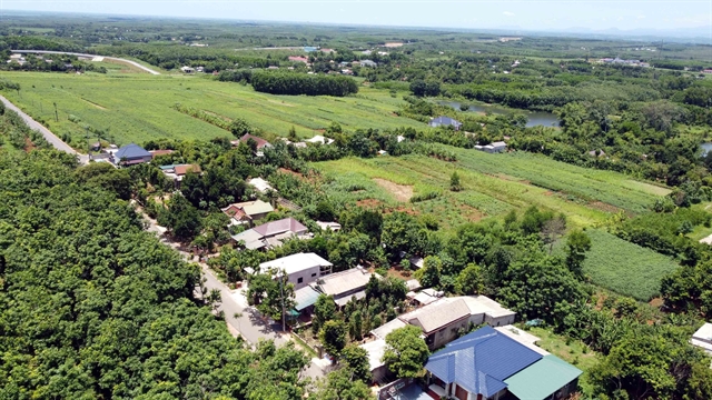 Greenery on land contaminated with bombs and mines revived