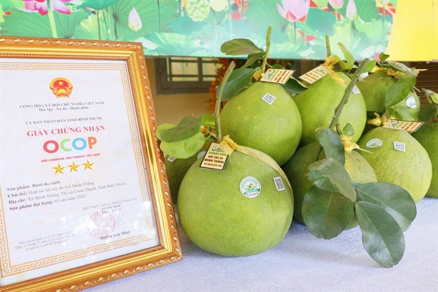Đồng Nai promotes branded, sustainable agriculture