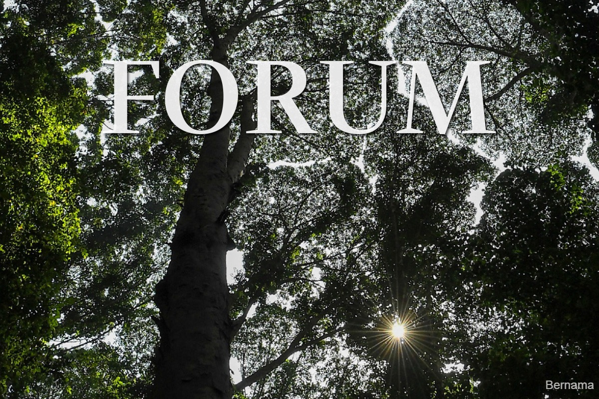 My Say: FRIM’s Unesco World Heritage Site status a well-deserved achievement